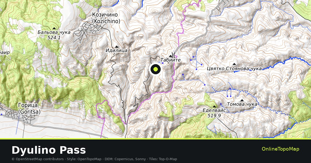 Topographic map of Dyulino Pass with contour lines and hillshading
