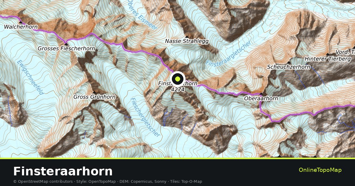 Topographic map of Finsteraarhorn with contour lines and hillshading