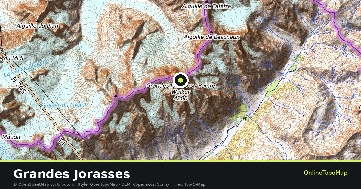 Topographic map of Grandes Jorasses with contour lines and hillshading