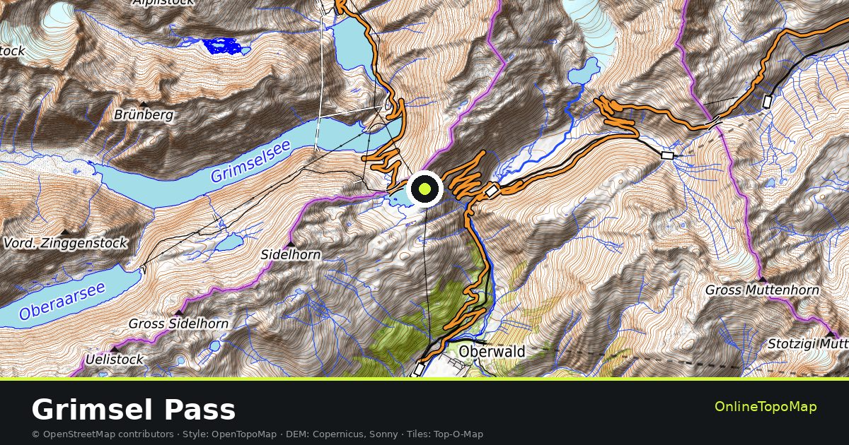 Topographic map of Grimsel Pass with contour lines and hillshading