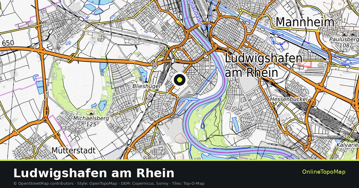 Topographic map of Ludwigshafen am Rhein with contour lines and hillshading