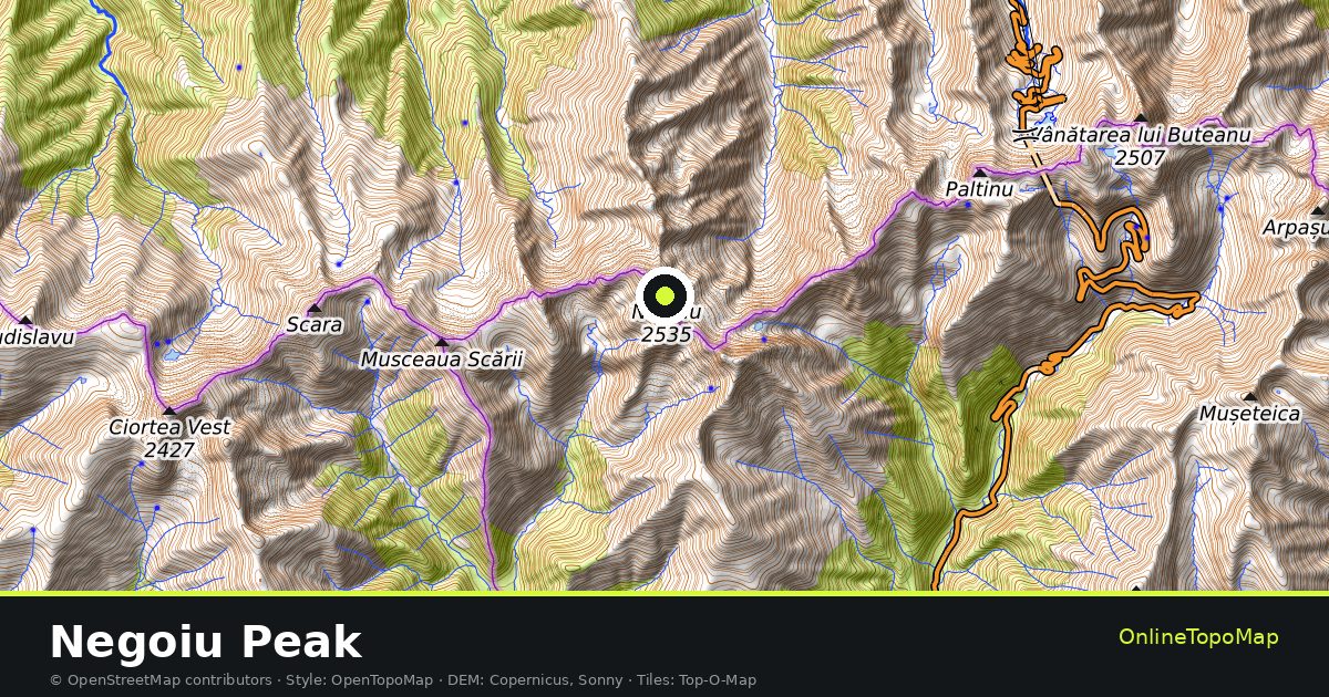 Topographic map of Negoiu Peak with contour lines and hillshading