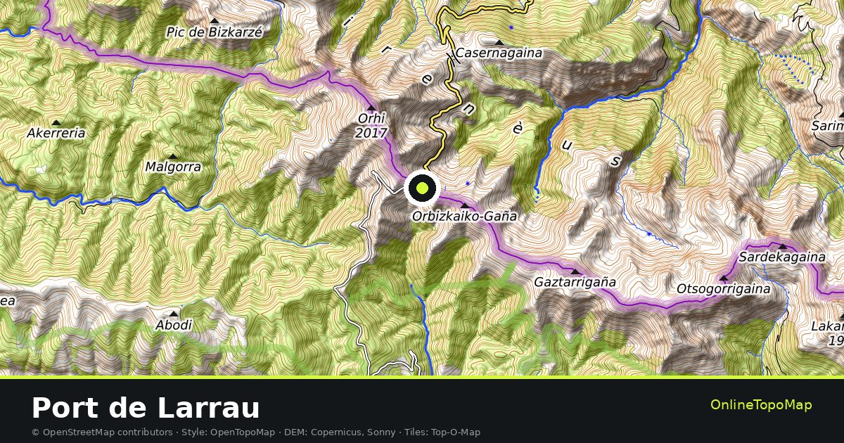 Topographic map of Port de Larrau with contour lines and hillshading