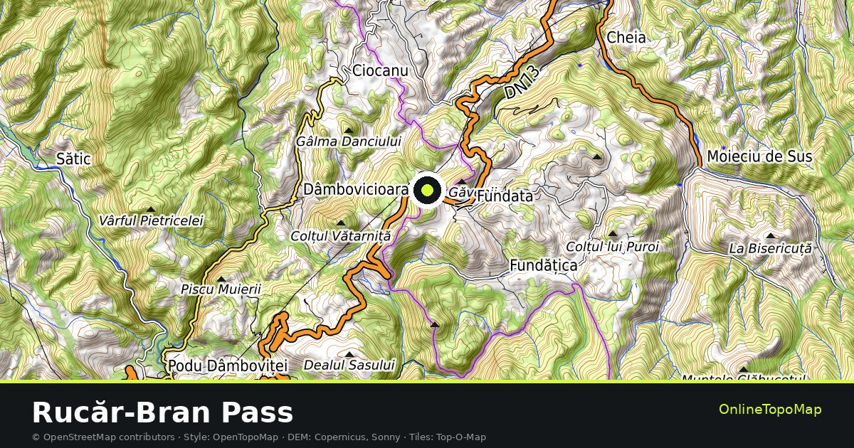 Topographic map of Rucăr-Bran Pass with contour lines and hillshading