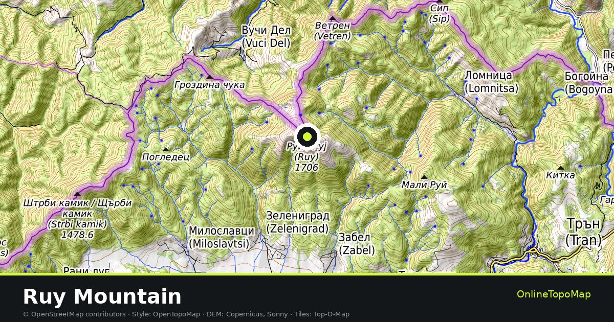 Topographic map of Ruy Mountain with contour lines and hillshading