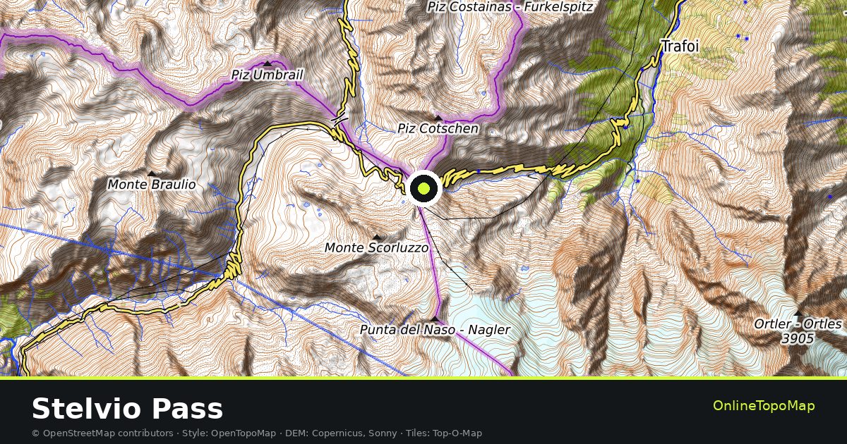 Topographic map of Stelvio Pass with contour lines and hillshading