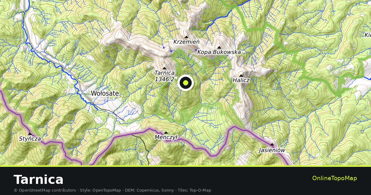 Topographic map of Tarnica with contour lines and hillshading