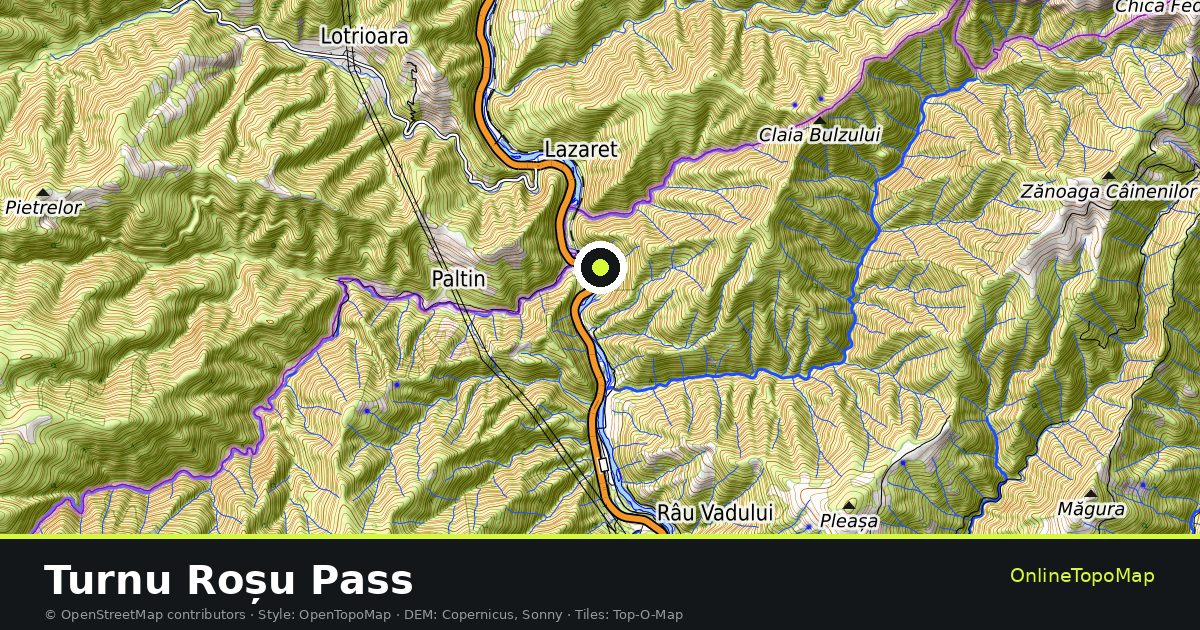 Topographic map of Turnu Roșu Pass with contour lines and hillshading